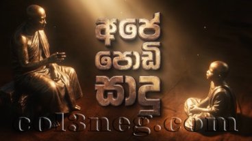 Ape Podi Sadu 25-10-2026