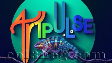 Art Pulse 03-10-2026