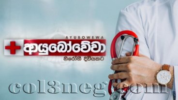 Ayubowewa 19-10-2025