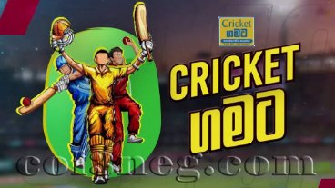 Cricket Gamata 31-08-2024