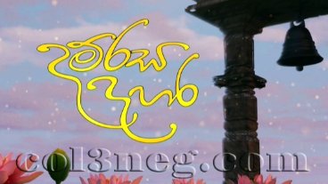 Damrasa Dahara 02-03-2026