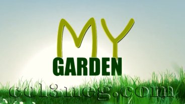 My Garden 10-04-2022