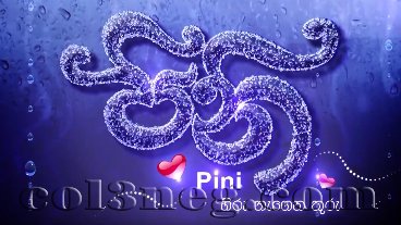 Pini (90) - 25-12-2017